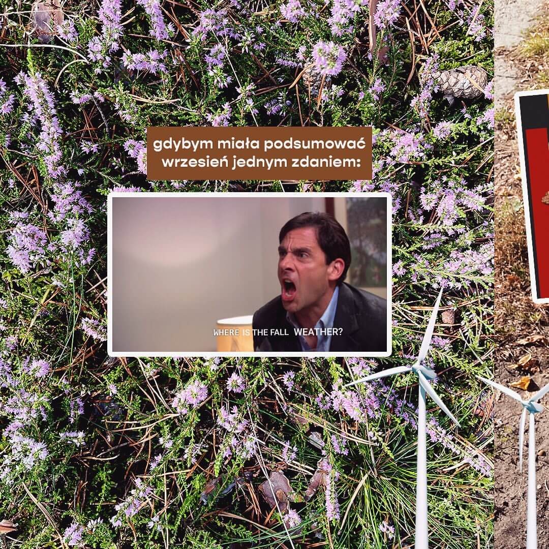 post karuzela instagram, carousel insta