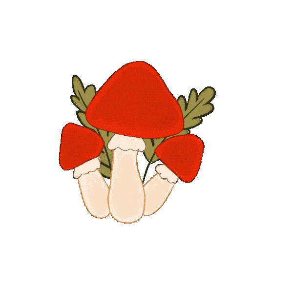 custom gif, customowe animacje